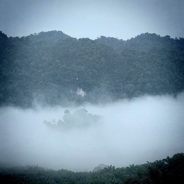 ควเชยเขา เขาพนมกระบี่