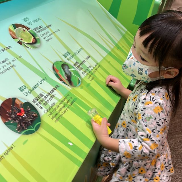 獅子會自然教育中心🦁️親親蝴蝶🦋