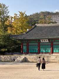 ใบไม้เปลี่ยนสีที่ Sungkyunkwan