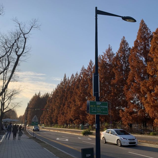 가을 단풍구경 막차입니당 ♥️🍁🍂