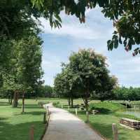 คาเฟ่ที่ไม่ใช่แค่คาเฟ่ The Village Farm To Cafe'