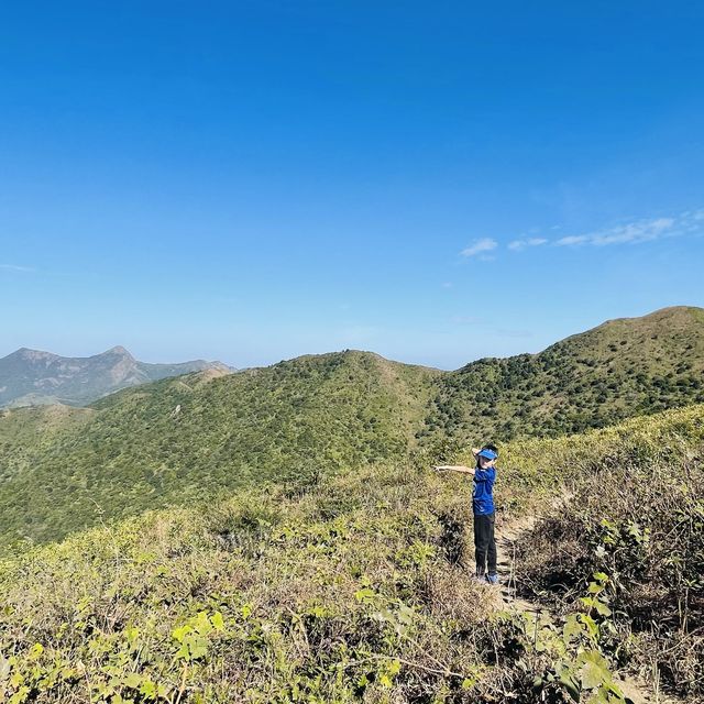 黃牛山尋芒草之旅