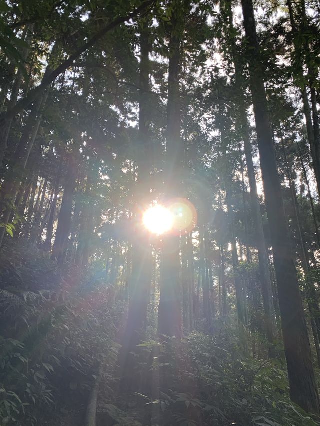 苗栗向天湖部落｜向天湖山+光高天山爬山之旅