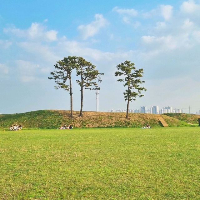 📷 청주 인생샷 핫플 [정북동 토성]