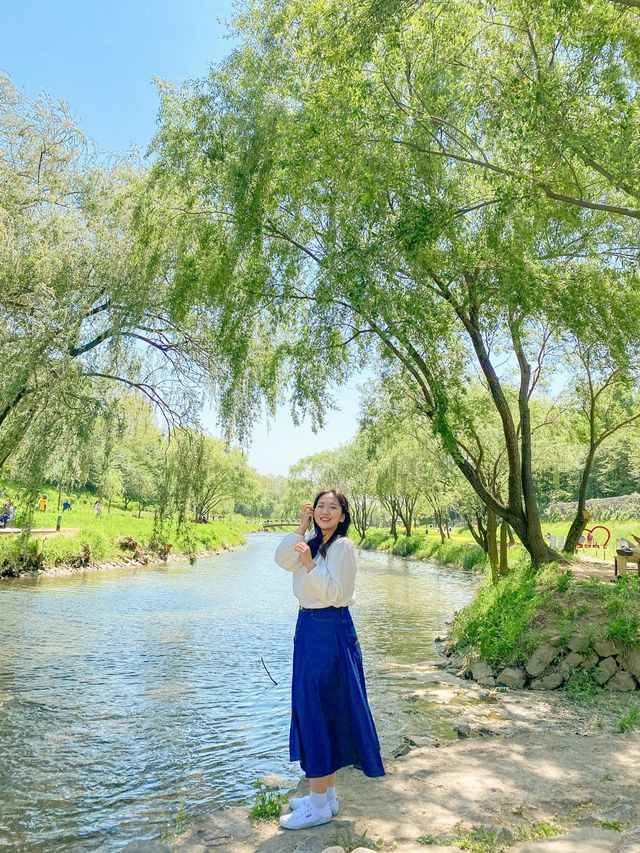 제주감성 가득한 양재천 주말산책💓