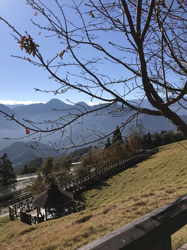 Qing Jing Farm, Taiwan