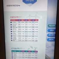 대관람차가 보이는 호캉스, 울산 스타즈호텔 🎡