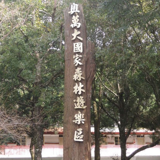魅力森林奧萬大🌲🌲🌲