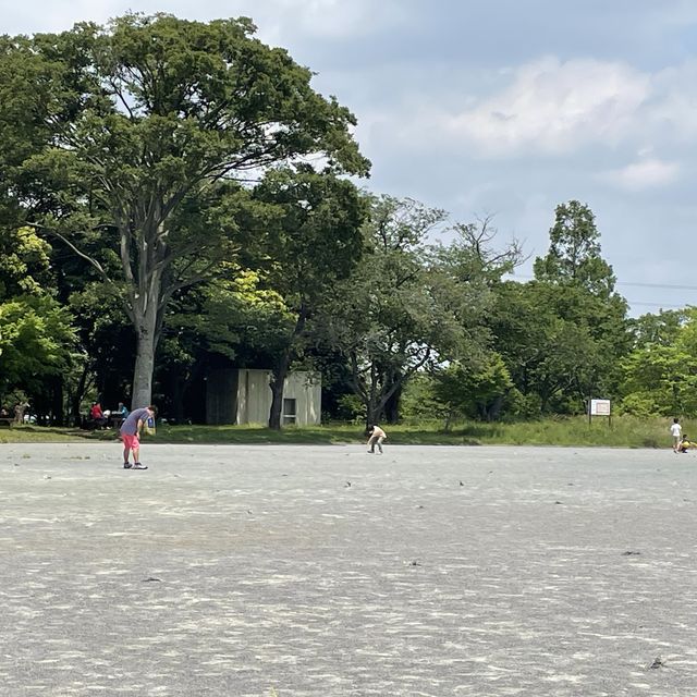 保土ヶ谷公園で自転車デビュー