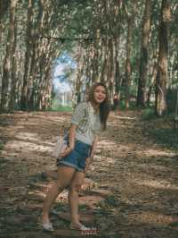 คาเฟ่แคมป์ปิ้งในสวนป่ายาง