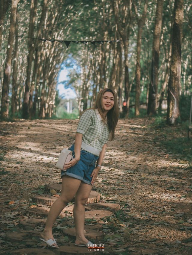 คาเฟ่แคมป์ปิ้งในสวนป่ายาง