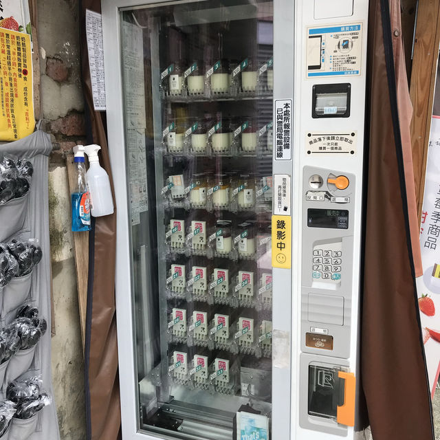 일품당 🥭 짠내투어 망고빙수 맛집