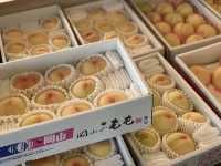 【岡山県】フルーツ王国岡山で絶品かき氷を堪能！