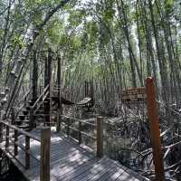 ศูนย์ศึกษาธรรมชาติป่าชายเลยอ่าวคุ้งกระเบน