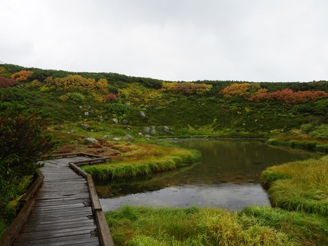 全日本最早的賞楓景點｜大雪山旭岳