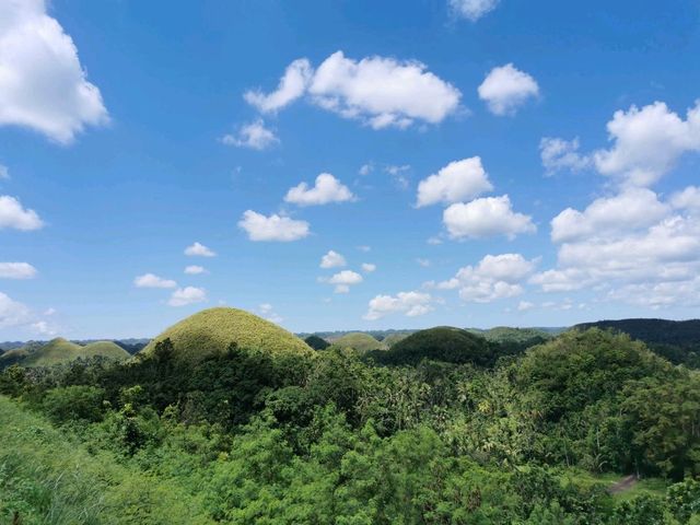 Chocolate Hills