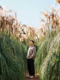 태안 가을 필수 여행지🌾