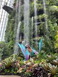 Journey to AVATAR’s Pandora at Cloud Forest