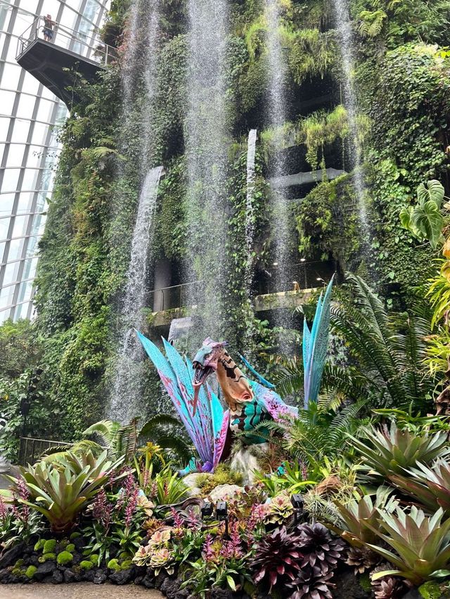 Journey to AVATAR’s Pandora at Cloud Forest