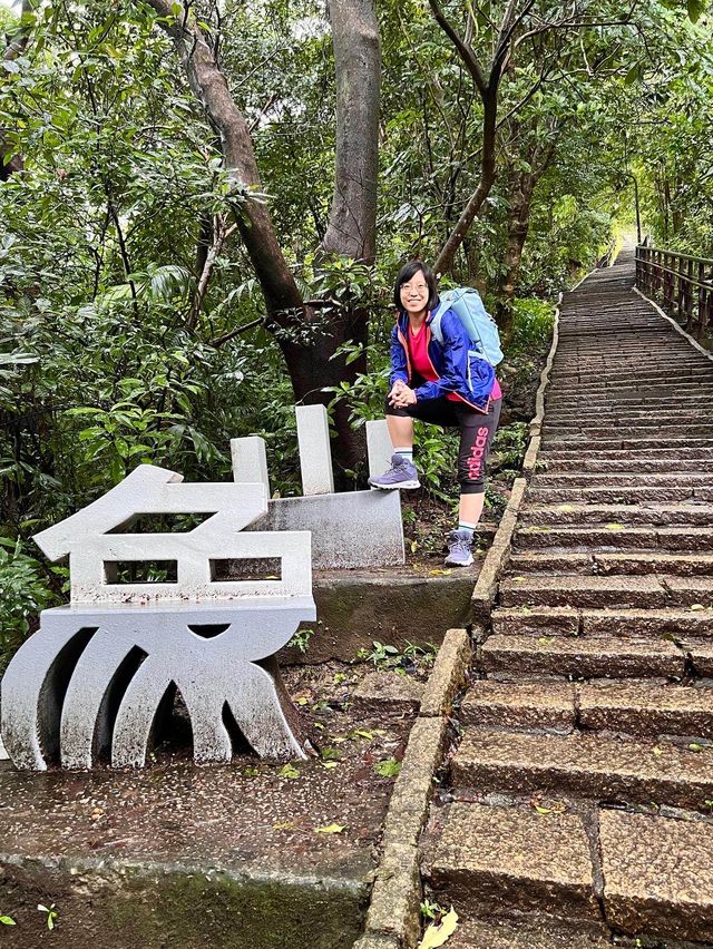 Hiking up Elephant Mountain 