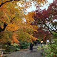 京都紅葉2022 天龍寺の紅葉