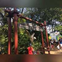 最後機會～新加坡裕廊飛禽公園