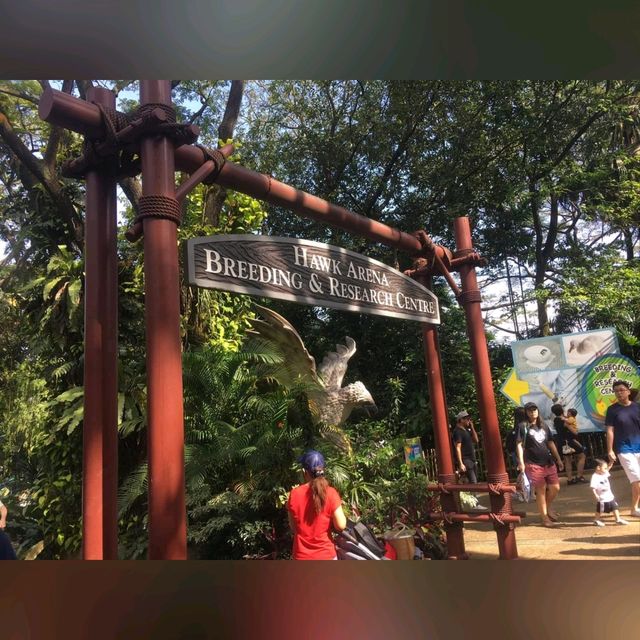 最後機會～新加坡裕廊飛禽公園