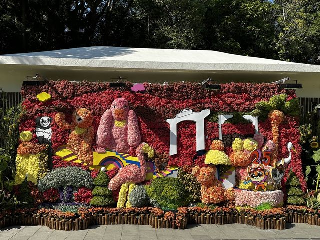 本地遊 | 香港動植物公園 | 必影蝴蝶蘭花廊