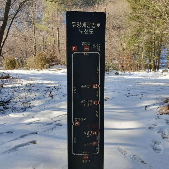 겨울에도 빛나는 평창 월정사, 전나무숲길