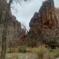 Zion Adventure 