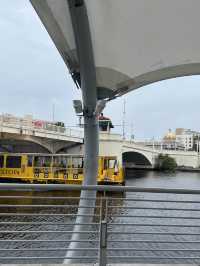 Rainy day in Downtown Tampa 