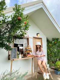 สวนส้ม จินจู
