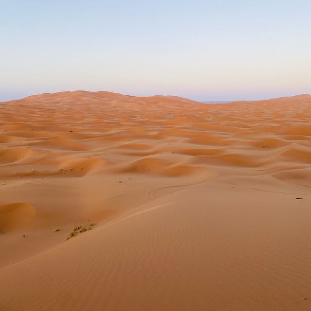 The great Sahara Desert 🐪 