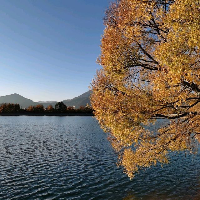 Qingxi Reservoir| Tranquility