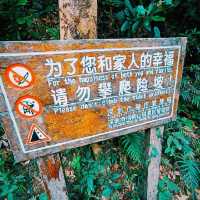 Climbing up Small Wutong ❤️