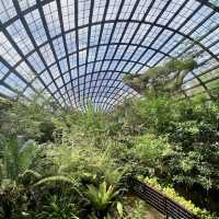 Entopia, Butterfly Farm - Penang, Malaysia 