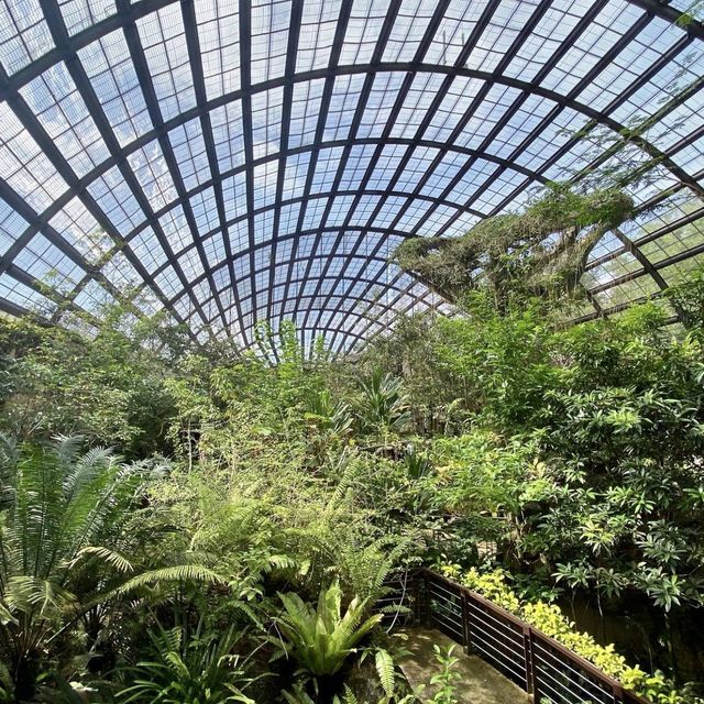 Entopia, Butterfly Farm - Penang, Malaysia 