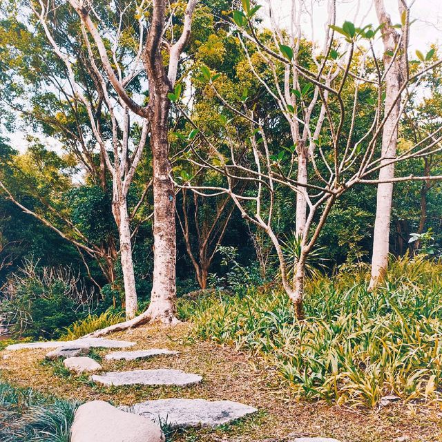 Rock Garden 🌿🌈🙃