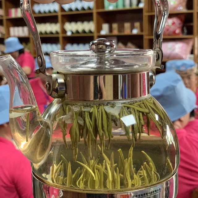 廣西南寧：中華茉莉園