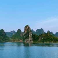 打卡廣西上林縣萬古茶園