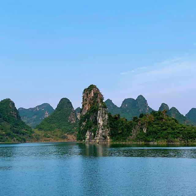 打卡廣西上林縣萬古茶園