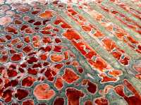 The RED LAKES of Inner Mongolian Desert ❤️❤️❤
