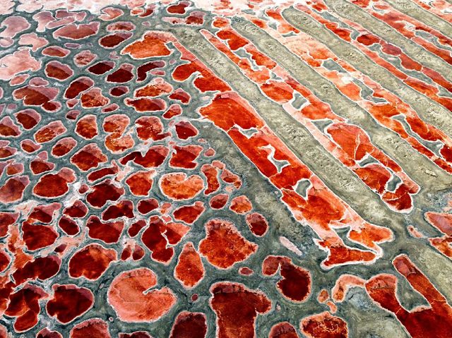 The RED LAKES of Inner Mongolian Desert ❤️❤️❤