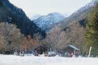 Snowy mountains and lakes | A winter trip~