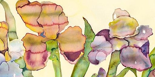 Explore Watercolor Class at Villa Chanticleer in Healdsburg | Villa Chanticleer