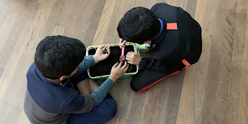 Worm Farming workshop, ages 5-12 | Lakemba Library and Knowledge Centre