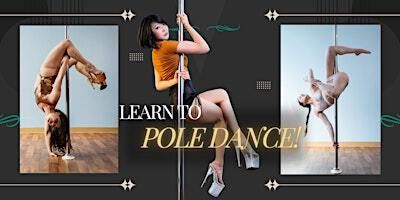 Beginner Pole Dancing Workshop | Trinity Pole Studio