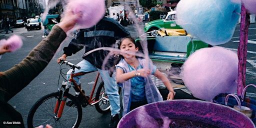 Laboratori per famiglie: Alla scoperta di Alex Webb | EARTH Foundation