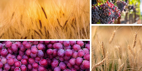 Raise a Glass,  Raise a Future - a Night of Wheat & Wine Showcasing SSCCA | Northwest Wine Academy