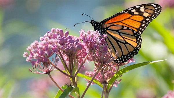 Wheat Ridge Garden Tour - 2025 | Wheat Ridge Grange